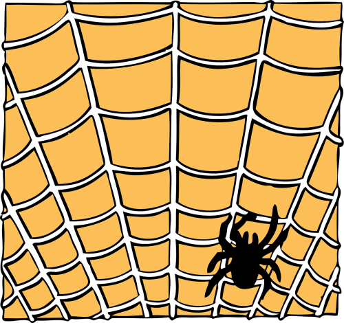 spiderweb spider orange