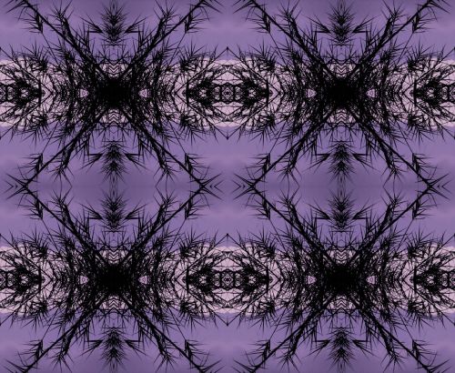 Spiky Pattern On Lavender