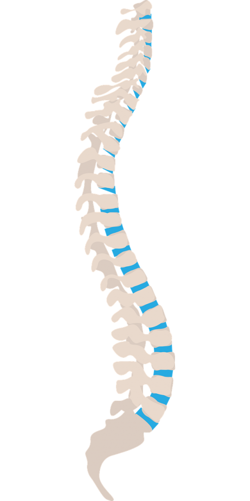 spine spine side health