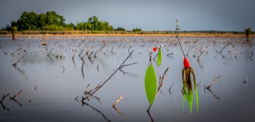 spinner bait fishing lure fishing