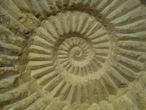 spiral stone sculpture