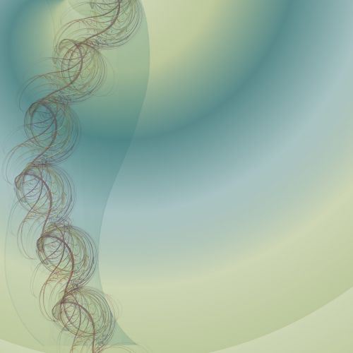 spiral design fractal