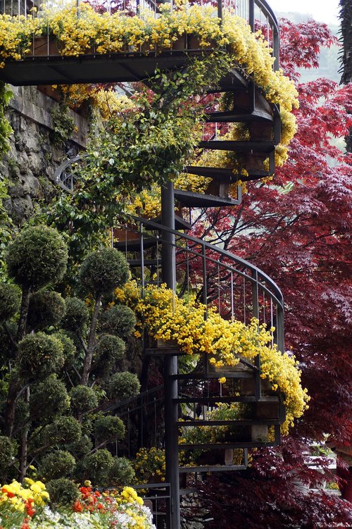 spiral staircase  flowers  stairs