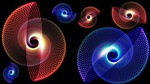 spirals snails mathematical
