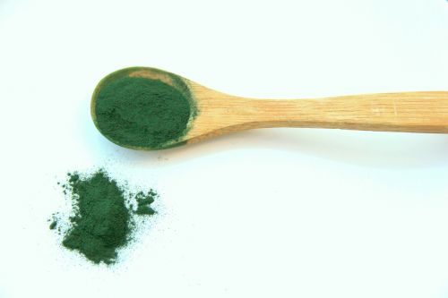 spirulina alga vegetable proteins