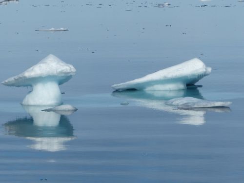 spitsbergen ice floes cold