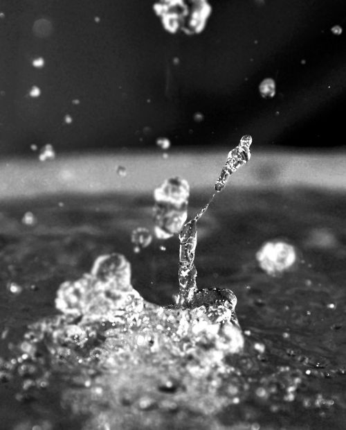 splash water drop