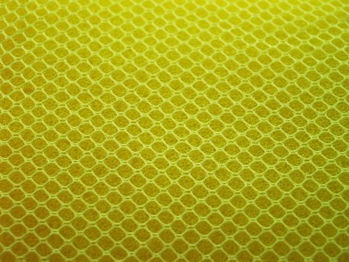 sponge yellow close