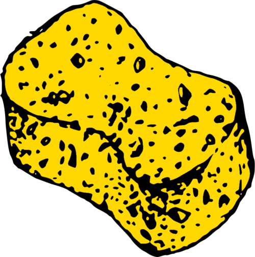 sponge wet yellow