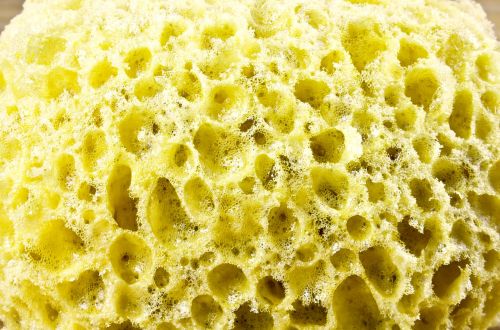sponge for washing sponge cleaning
