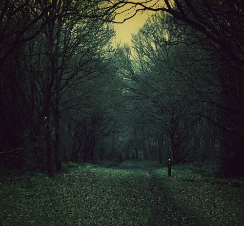spooky path nature