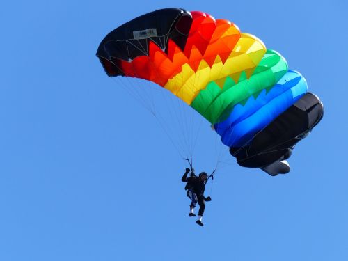 sport skydiving competition