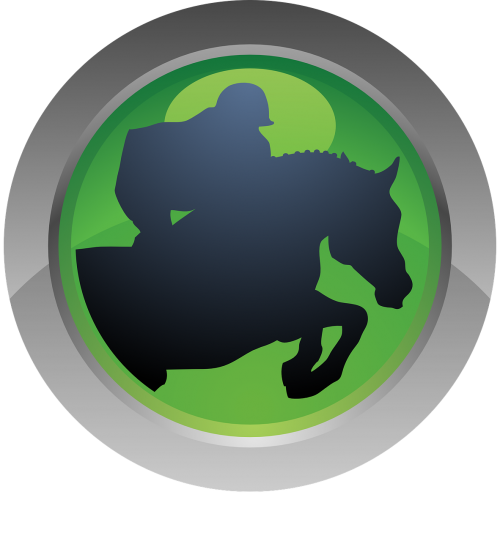 sport horseback riding icon