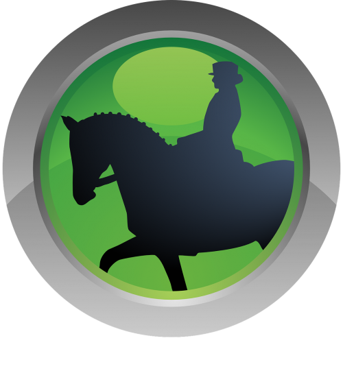 sport icon horse