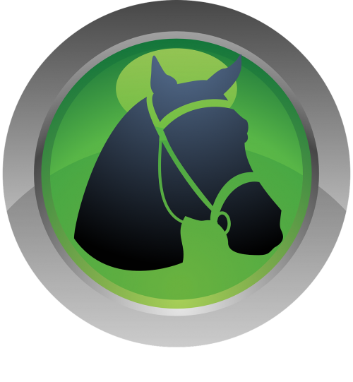 sport horse icon