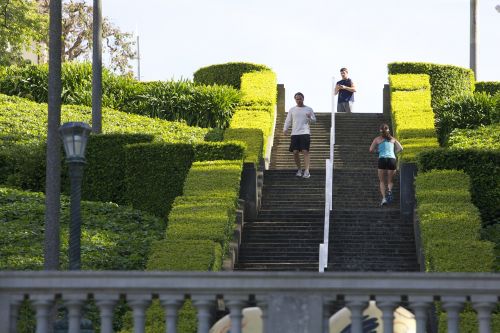 sport running park