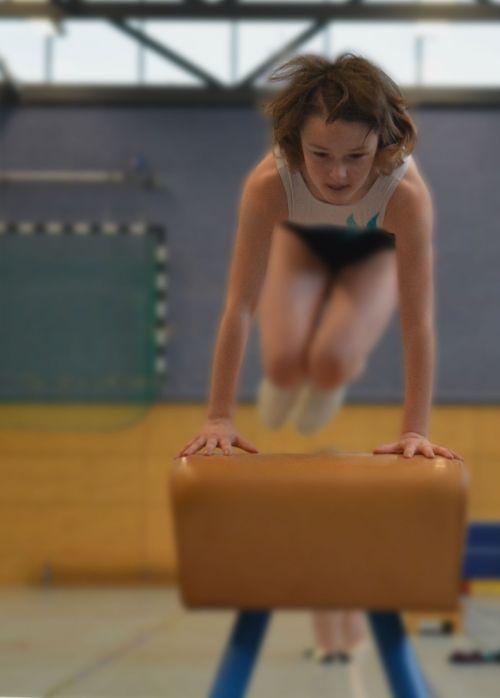 sport gymnastics gym