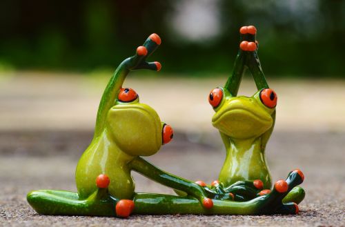 sport gymnastics frog
