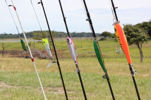 fishing fishing rod sport