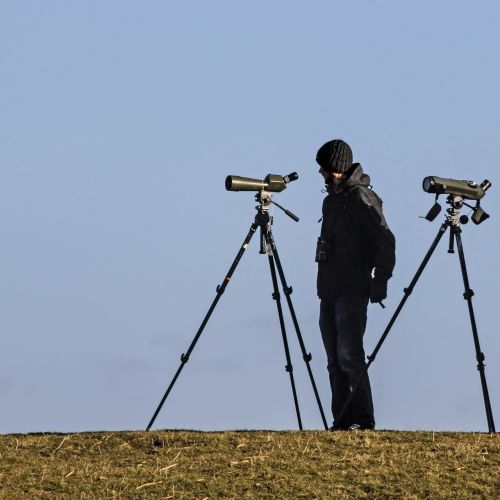 spotting scope ornithologist bird watching