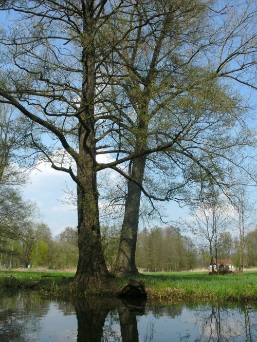 spreewald water nature