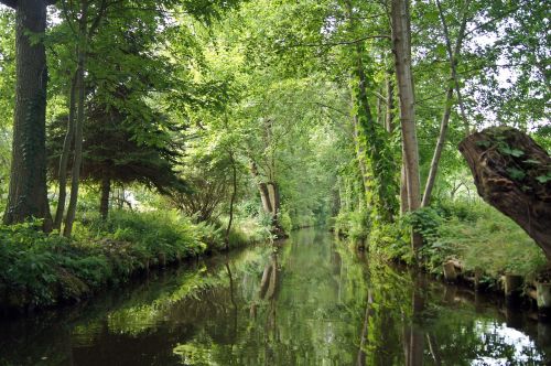 spreewald castle spree