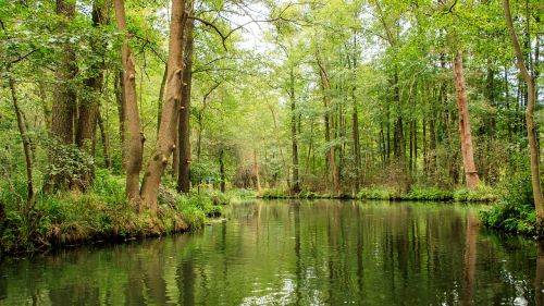 spreewald channels depth