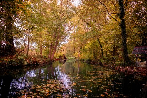 spreewald  water  channel