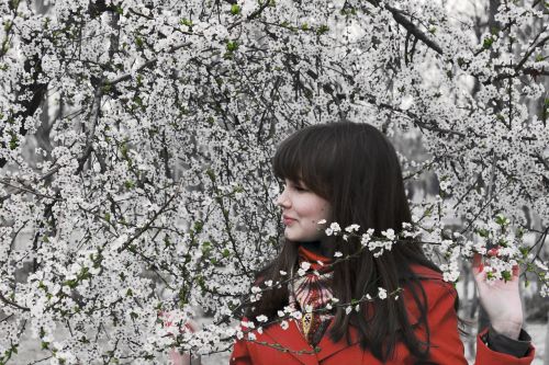 spring flowers cherry