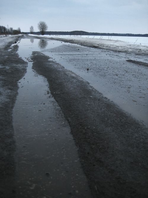 spring nature wet road