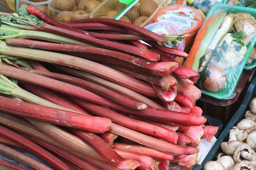 spring rhubarb market
