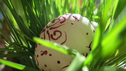 spring easter eggs