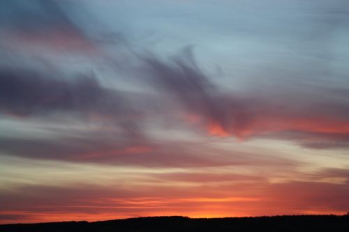 spring nature sunset