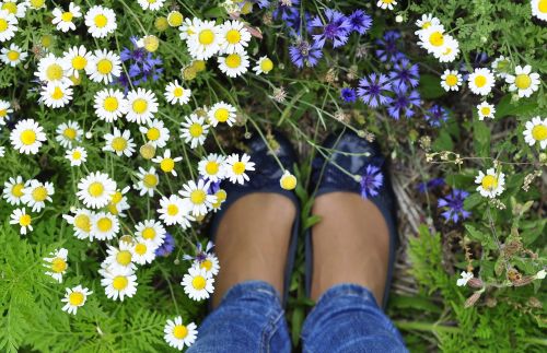 spring flowers feet