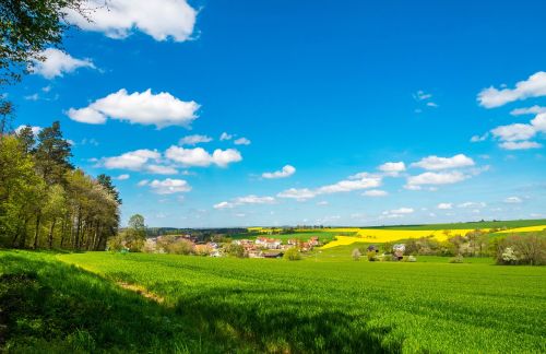 spring landscape meadow