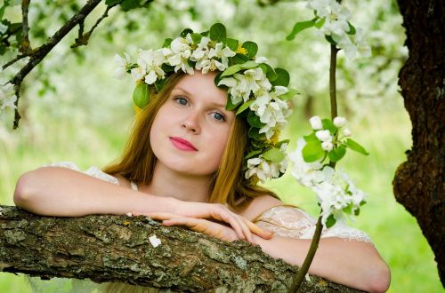 spring flowers tree