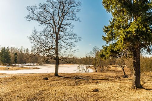 spring gatchina beauty