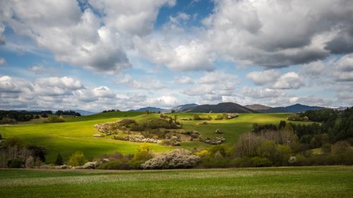 spring sun nature