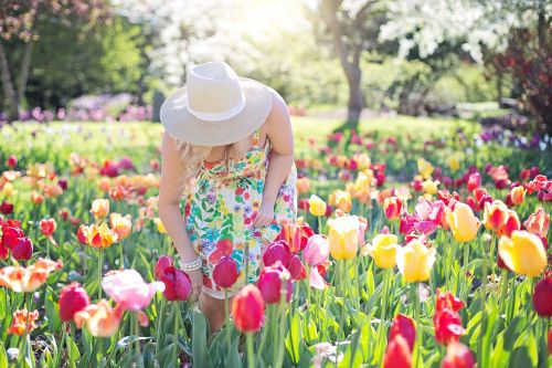 spring tulips pretty woman