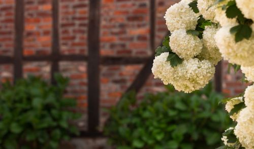 spring flower wall