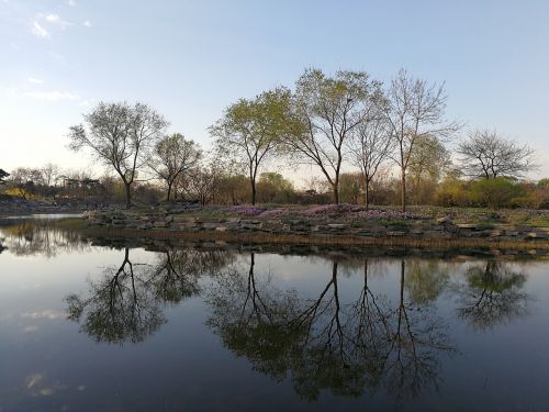 spring lake reflection