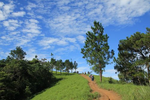 spring hill landscape