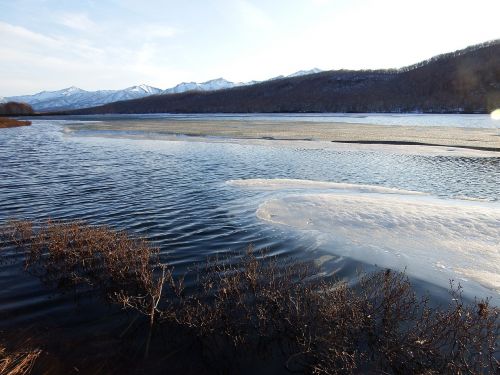 spring lake ice