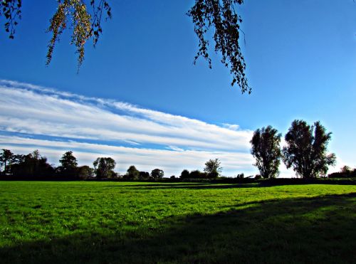 spring meadow green