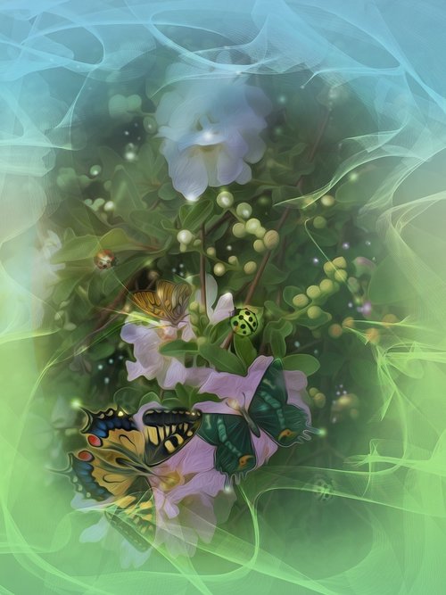 spring  illustration  ladybug
