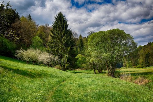 spring  green  hdr