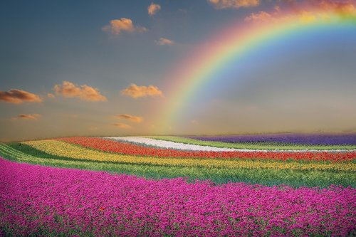 spring  landscape  flowers