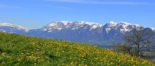 spring  mountains  sky