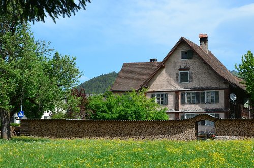 spring  meadow  green