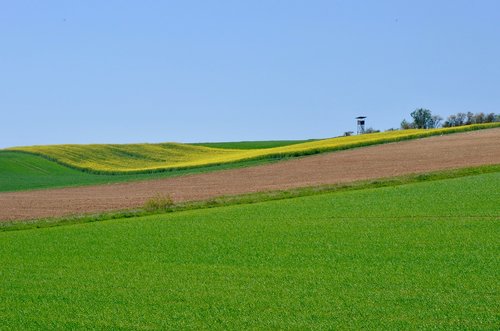 spring  fields  agriculture